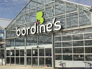 Bordine's Brighton Location