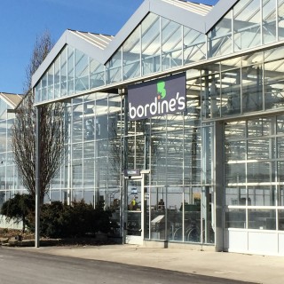 Bordine's Grand Blanc Location